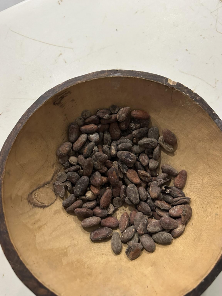 cocoa-beans-closeup